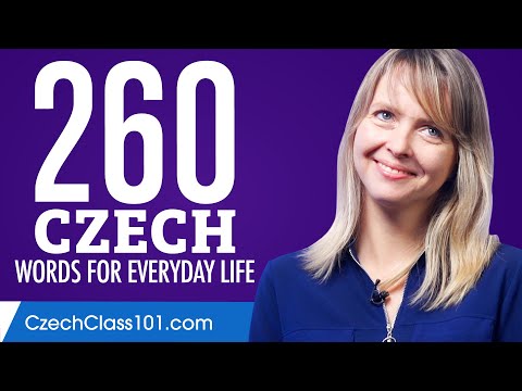 260 Czech Words for Everyday Life - Basic Vocabulary #13