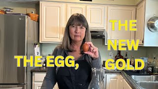5 PROTEIN PACKED BREAKFAST IDEAS THAT DO NOT USE EGGS! // Egg Substitute// Frugal Living
