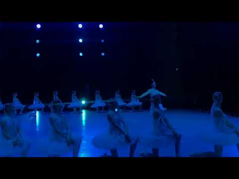 Mikhail Martynyuk - flawless solo from La Bayadere x