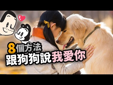 狗正面