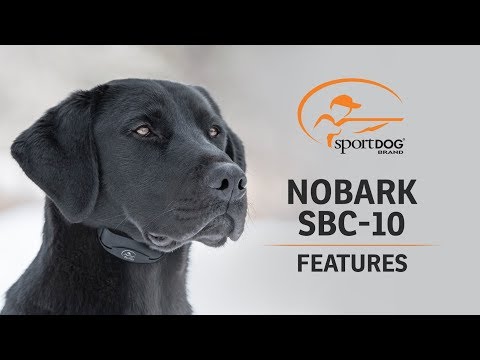 SportDOG Brand® NoBark SBC-10 :: Features
