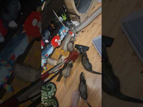 Cleaning Is Hard