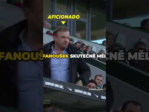 Tento fanoušek se najednou stal rozhodčím ☠️🤣 #česko