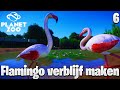 Het Verblijf van de Flamingo's maken! | PlanetZoo #6
