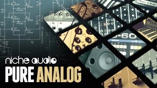 Video thumbnail for Pure Analog Maschine Expansion & Ableton Live Pack - From Niche Audio by Loopcloud