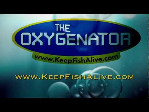 Oxygenator-Bait-Transporter Video