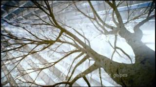 Brooke Fraser - Flags(subtitulos en español)