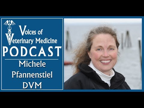 Superstar Veterinary Entrepreneur on Being the Person the Universe Wants You to Be