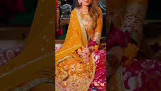 Multi Colored Embroidered Chiffon Suit - Video 1