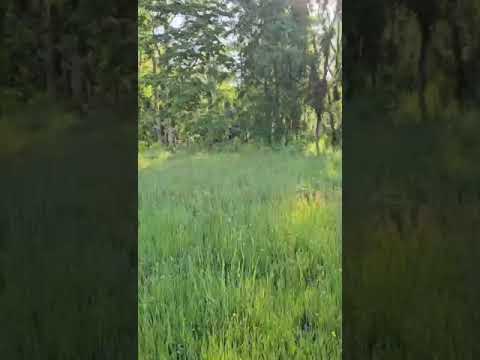 Parcela 97   Vive Purranque - Región de Los Lagos