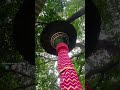 Jaharveer Gogaji Status Gogaji Nishan Jaharveergogaji Gogaji