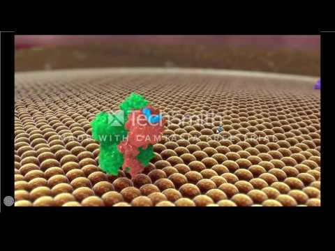 Andexanet Alfa for the Reversal of Factor Xa Inhibitor