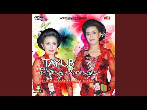 Download Erny - Tayub Adi Laras Kereta Senja MP3