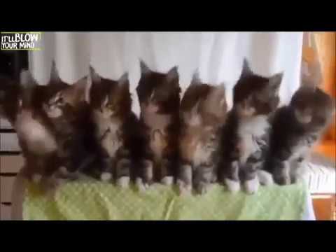 Big Ang Ft Siobhan Its Over Now