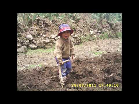 QUIERO - SILVERIO ANDRADE