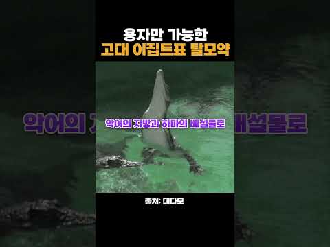 古代脱发者的悲哀比现在更严重？？？