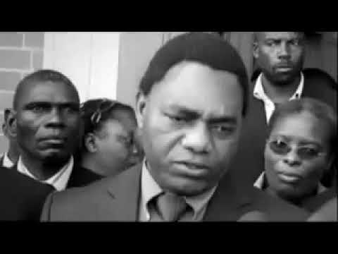 Mr Vezzy Viva la presidental