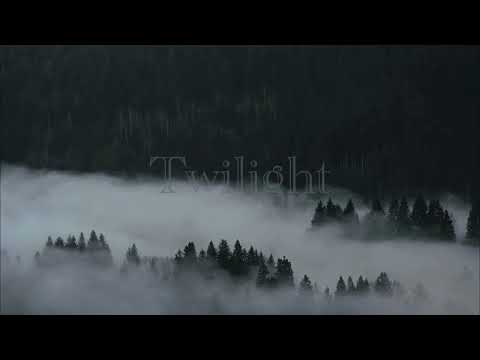 twilight sleep and study ambiance | roslyn instrumental x forest sounds