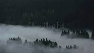 Download lagu twilight sleep and study ambiance | roslyn instrumental x forest sounds mp3 Download lagu twilight sleep and study ambiance | roslyn instrumental x forest sounds mp3