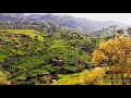Pachai Kiligal Tholodu Bgm