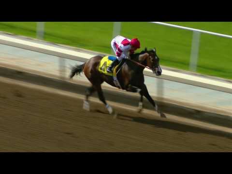 Songbird, Beholder, Stellar Wind Collide in 2016 Breeders' Cup Distaff