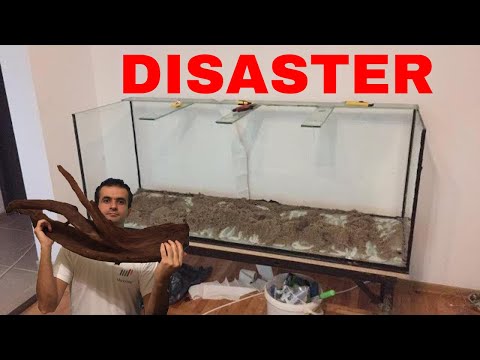 It happened to my friend: AQUARIUM DISASTER
