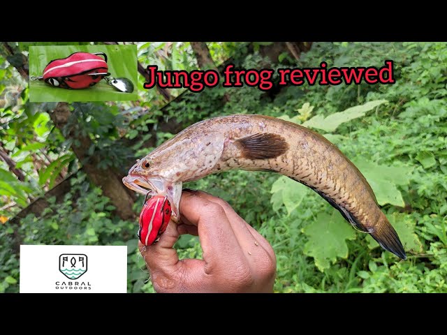 Judge.me YouTube video placeholder