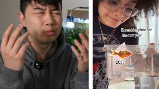 is this a Fishkeeping SPEED RUN? | Fish Tank Review 300
