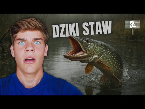 POTWÓR z DZIKIEGO STAWU w ŚRODKU MIASTA !!!