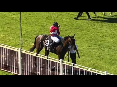 Ascot, 5/03/2016 - Race 6 - HEART STARTER - Mr Bob Peters & William Pike