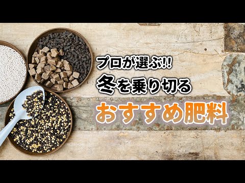 冬に肥料を与える植物はどれですか?肥料の種類と使い方は？  庭園