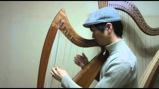 하프 연주 Small Harp &quot;I skovens dybe stille ro&quot; A Danish folk song on harp. 덴마크 민요 노래 harpe chromatique