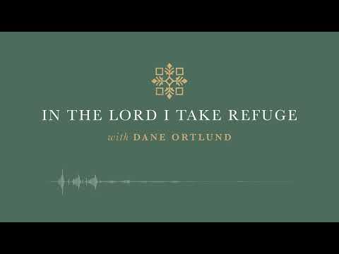 In the Lord I Take Refuge: Psalm 119 - Your Word Is a Lamp to My Feet