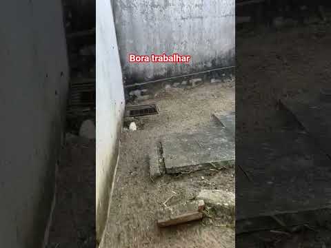 bora trabalhar,  nosso trabalho em itaitinga Ceará Brasil.  trabalhamos com limpeza de terreno,  👀.