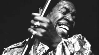 Luther Allison- Don&#39;t Wanna Wait