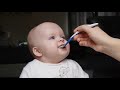 CUTE BABY LOVES FOOD Funny Sweet Baby Eating