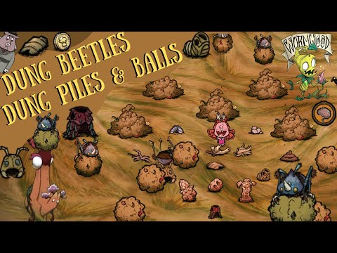 Dung Beetles, Dung Piles & Dung Balls - Don't Starve Hamlet Guide