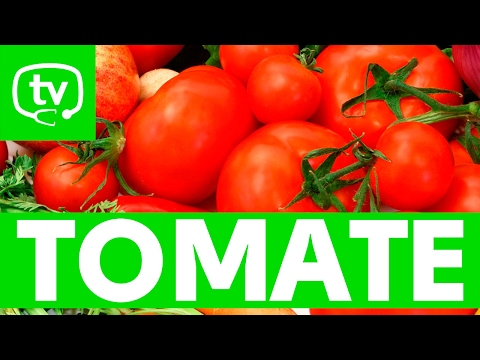 , title : 'El tomate y sus propiedades nutritivas'