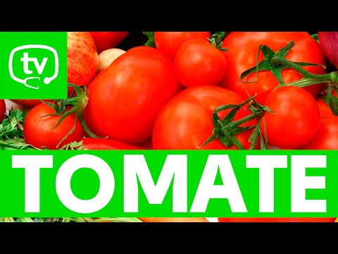 El tomate y sus propiedades nutritivas