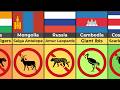 Comparison Illegal Endangered Species In Different Countries