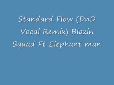 UK Garage - Standard Flow (Dnd Remix) - Blazin Squad Ft Elephant Man