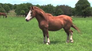 Mulholland Security Wishes You a Restful Weekend