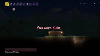 Terraria #2    Mining and Pet Squirrel!