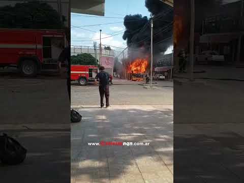 Se incendió por completo un colectivo en Plottier: pasajeros y chofer lograron escapar a tiempo
