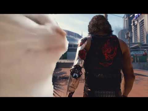 Cat vibing to Cyberpunk 2077 Soundtrack | The Rebel Path