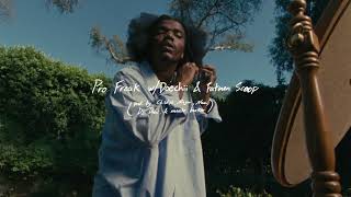Pro Freak Music Video