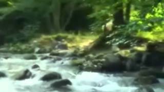 Christophe LES PARADIS PERDUS