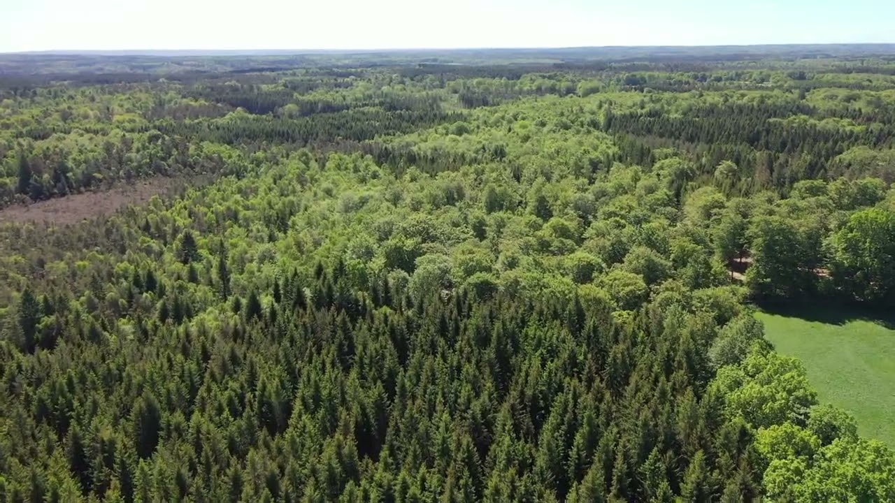 Gård/skog på Galthult 1:21 "C" Röke Hässleholms kommun - video
