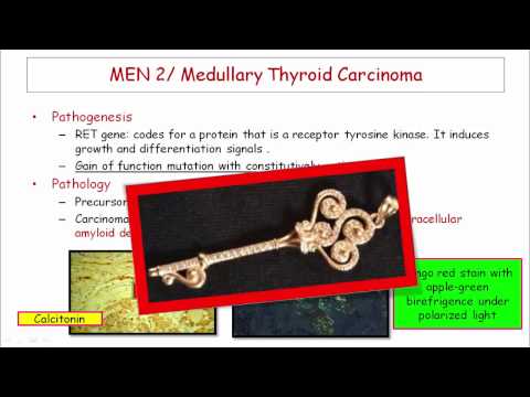 12DaysinMarch, Adrenal Medulla and MEN2 for USMLE Step One