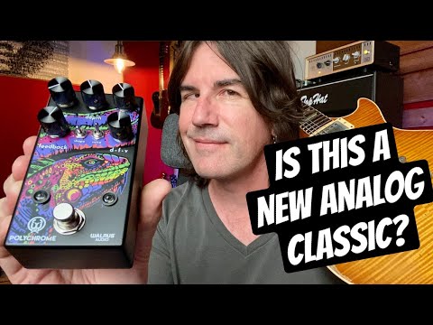 Walrus Audio Polychrome Analog Flanger 2021 - Present - Black image 7